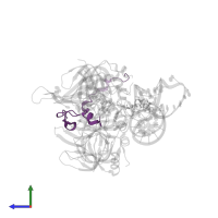 U1 small nuclear ribonucleoprotein 70 kDa in PDB entry 4pjo, assembly 4, side view.