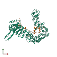 PDB entry 4pju coloured by chain, front view.