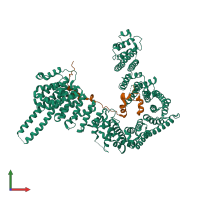 PDB entry 4pk7 coloured by chain, front view.