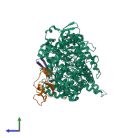 PDB entry 4pkf coloured by chain, side view.