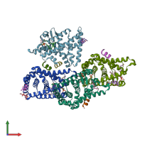 PDB entry 4ple coloured by chain, front view.