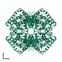 L-lactate dehydrogenase in PDB entry 4plz, assembly 1, front view.