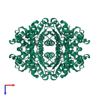 L-lactate dehydrogenase in PDB entry 4plz, assembly 1, top view.