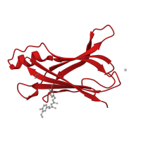 The deposited structure of PDB entry 4pme contains 2 copies of CATH domain 2.60.40.180 (Immunoglobulin-like) in Transthyretin. Showing 1 copy in chain A.