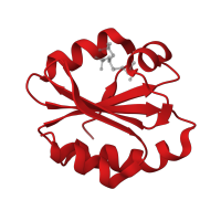 The deposited structure of PDB entry 4pok contains 4 copies of CATH domain 3.40.30.10 (Glutaredoxin) in Thioredoxin. Showing 1 copy in chain A.