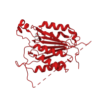 The deposited structure of PDB entry 4prz contains 1 copy of CATH domain 3.40.50.1460 (Rossmann fold) in Caspase-8 subunit p18. Showing 1 copy in chain A.