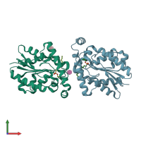PDB entry 4pse coloured by chain, front view.