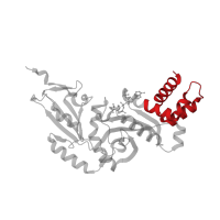 The deposited structure of PDB entry 4psw contains 1 copy of CATH domain 1.10.10.390 (Arc Repressor Mutant, subunit A) in Histone acetyltransferase type B catalytic subunit. Showing 1 copy in chain A.