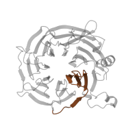 The deposited structure of PDB entry 4psw contains 1 copy of Pfam domain PF00400 (WD domain, G-beta repeat) in Histone acetyltransferase type B subunit 2. Showing 1 copy in chain B.