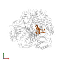5'-D(*AP*TP*CP*CP*TP*CP*CP*CP*CP*TP*AP*(DOC))-3' in PDB entry 4ptf, assembly 1, front view.