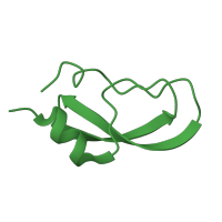 The deposited structure of PDB entry 4pti contains 1 copy of SCOP domain 57363 (Small Kunitz-type inhibitors & BPTI-like toxins) in Pancreatic trypsin inhibitor. Showing 1 copy in chain A.