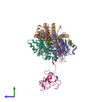 PDB entry 4pv1 coloured by chain, side view.