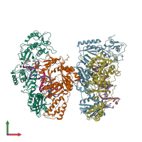 PDB entry 4pwd coloured by chain, front view.