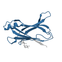 The deposited structure of PDB entry 4pwj contains 2 copies of Pfam domain PF00576 (HIUase/Transthyretin family) in Transthyretin. Showing 1 copy in chain A.