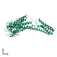 PDB entry 4pxz coloured by chain, front view.