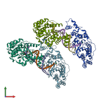 PDB entry 4q0z coloured by chain, front view.