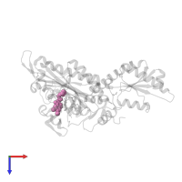 7-bromo-6-chloro-3-{3-[(2R,3S)-3-hydroxypiperidin-2-yl]-2-oxopropyl}quinazolin-4(3H)-one in PDB entry 4q15, assembly 2, top view.