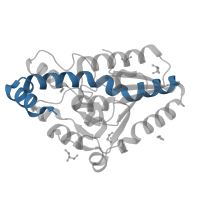 The deposited structure of PDB entry 4q1g contains 1 copy of CATH domain 6.20.390.20 (Light-harvesting Protein) in Putative polyketide biosynthesis enoyl-CoA isomerase PksI. Showing 1 copy in chain B.