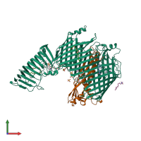 PDB entry 4q35 coloured by chain, front view.