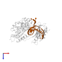 DNA (5'-D(*TP*CP*TP*(RDG)P*GP*GP*GP*TP*CP*CP*TP*AP*GP*GP*AP*CP*CP*C)-3') in PDB entry 4q43, assembly 1, top view.