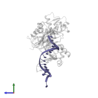 DNA (5'-D(*T*CP*TP*AP*GP*GP*GP*TP*CP*CP*TP*AP*GP*GP*AP*CP*CP*C)-3') in PDB entry 4q43, assembly 1, side view.