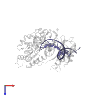 DNA (5'-D(*T*CP*TP*AP*GP*GP*GP*TP*CP*CP*TP*AP*GP*GP*AP*CP*CP*C)-3') in PDB entry 4q43, assembly 1, top view.