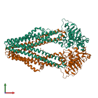 PDB entry 4q4j coloured by chain, front view.