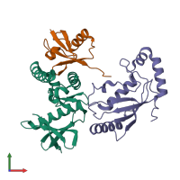 PDB entry 4q5e coloured by chain, front view.