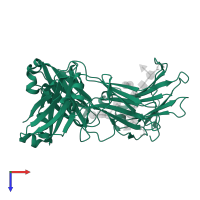 Immunoglobulin heavy constant gamma 1 in PDB entry 4q74, assembly 1, top view.