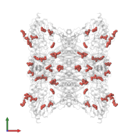 Modified residue MSE in PDB entry 4q7a, assembly 1, front view.
