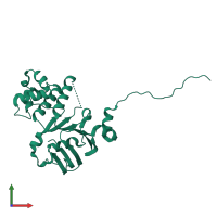 Monomeric assembly 1 of PDB entry 4q7m coloured by chemically distinct molecules, front view.