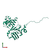 Uncharacterized ABC transporter ATP-binding protein TM_0288 in PDB entry 4q7m, assembly 1, front view.