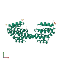 Homo dimeric assembly 1 of PDB entry 4q96 coloured by chemically distinct molecules, front view.