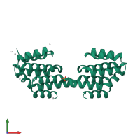 Homo dimeric assembly 2 of PDB entry 4q96 coloured by chemically distinct molecules, front view.