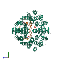 Hetero hexameric assembly 3 of PDB entry 4q96 coloured by chemically distinct molecules, side view.