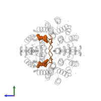 RPB1-CTD in PDB entry 4q96, assembly 3, side view.