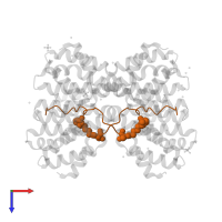 RPB1-CTD in PDB entry 4q96, assembly 3, top view.