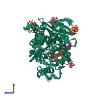 PDB entry 4qa9 coloured by chain, ensemble of 20 models, side view.
