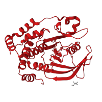 The deposited structure of PDB entry 4qap contains 1 copy of CATH domain 3.90.190.10 (Protein-Tyrosine Phosphatase; Chain A) in Tyrosine-protein phosphatase non-receptor type 1. Showing 1 copy in chain A.