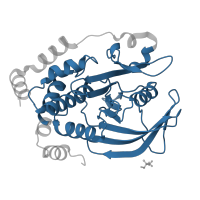The deposited structure of PDB entry 4qap contains 1 copy of Pfam domain PF00102 (Protein-tyrosine phosphatase) in Tyrosine-protein phosphatase non-receptor type 1. Showing 1 copy in chain A.