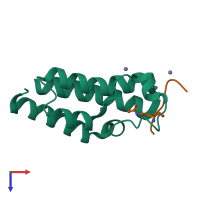 Hetero dimeric assembly 1 of PDB entry 4qc1 coloured by chemically distinct molecules, top view.