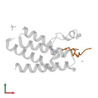 acetylated histone 3 peptide (H3K14ac) in PDB entry 4qc1, assembly 2, front view.