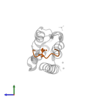acetylated histone 3 peptide (H3K14ac) in PDB entry 4qc1, assembly 2, side view.