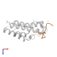 acetylated histone 3 peptide (H3K14ac) in PDB entry 4qc1, assembly 2, top view.