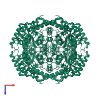 Homo tetrameric assembly 1 of PDB entry 4qdp coloured by chemically distinct molecules, top view.