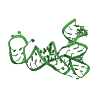 The deposited structure of PDB entry 4qei contains 1 copy of Rfam domain RF00005 (tRNA) in tRNA-Gly-CCC-2-2. Showing 1 copy in chain B [auth C].