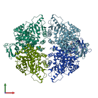 PDB entry 4qg8 coloured by chain, front view.