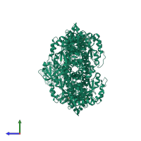 Homo tetrameric assembly 1 of PDB entry 4qg9 coloured by chemically distinct molecules, side view.