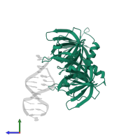 Gamma-interferon-inducible protein 16 in PDB entry 4qgu, assembly 1, side view.