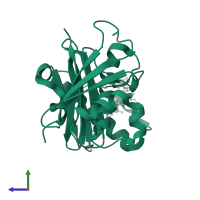 Phosphopantetheinyl transferase, PptII in PDB entry 4qjl, assembly 1, side view.